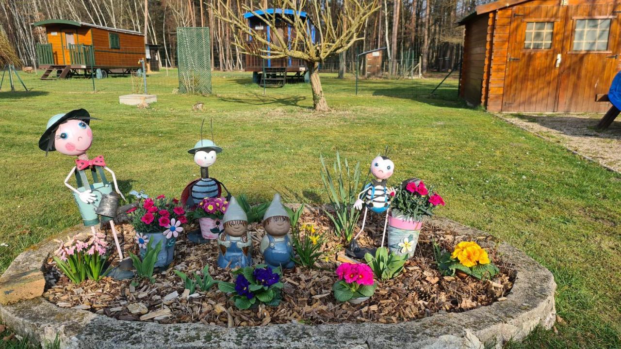 Le Chalet Des Pins Hotel Rougeou Kültér fotó