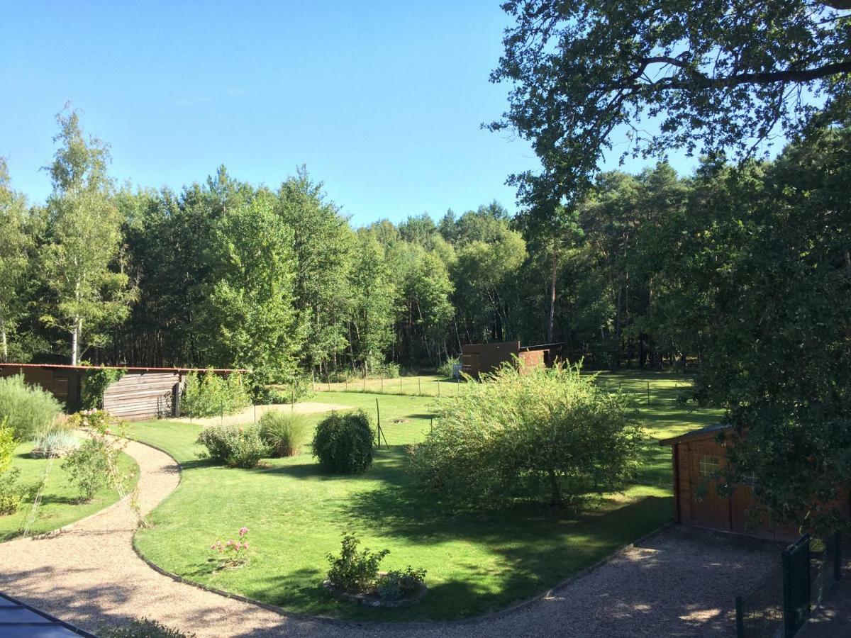 Le Chalet Des Pins Hotel Rougeou Kültér fotó